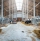 Dairy cows in modern automated milk farm.